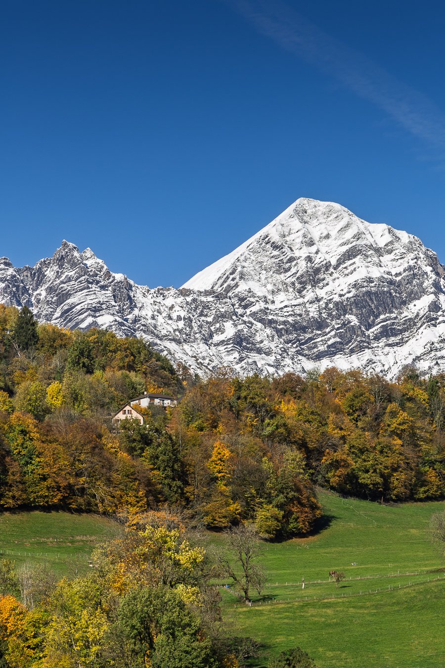 _X4A3906 – ericlefort73.fr