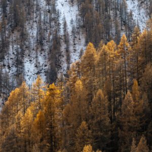 _X4A4493 – ericlefort73.fr