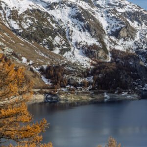 _X4A4495 – ericlefort73.fr