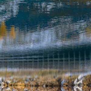 _X4A4503-Modifier – ericlefort73.fr