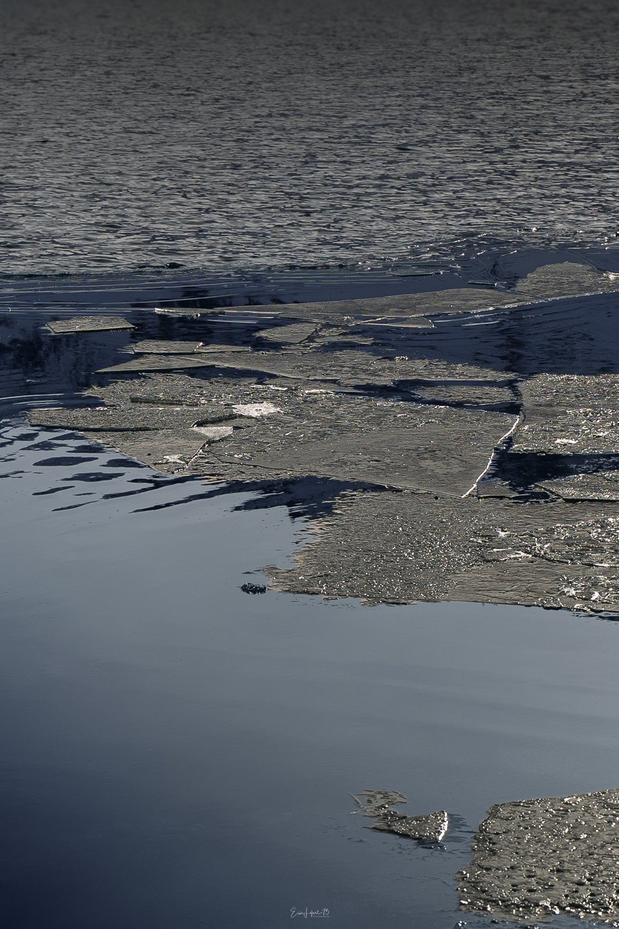 _X4A4520 – ericlefort73.fr