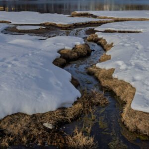 _X4A4549 – ericlefort73.fr