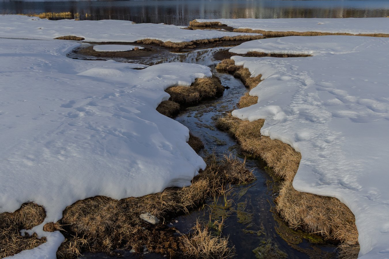 _X4A4549 – ericlefort73.fr