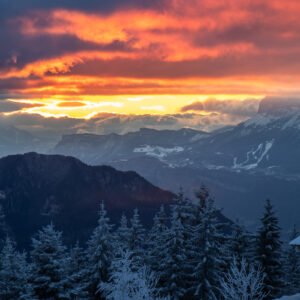 Flamboyance hivernale sur le grésivaudan