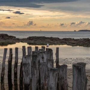 Derniers remparts face à la mer