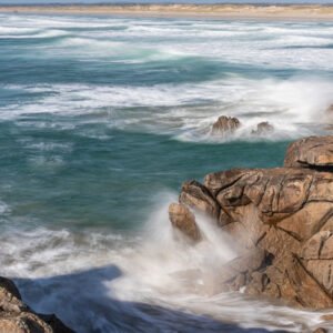 Poisson ou Dragon...